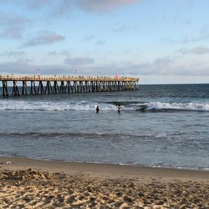 Meet your Posher, Jocelyn